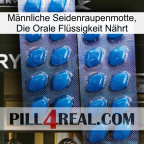 Männliche Seidenraupenmotte, Die Orale Flüssigkeit Nährt viagra2
